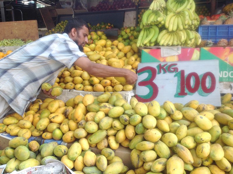  The mango season in India starts late in March and ends just when it kicks off in Pakistan – late June – with bilateral peace, both can make the aroma and the taste last longer! 