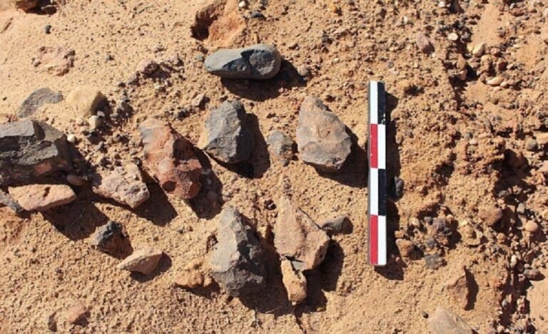 200,000-year-old Tools from Stone Age Unearthed in Saudi Arabia
