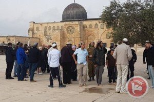 Jews in Aqsa