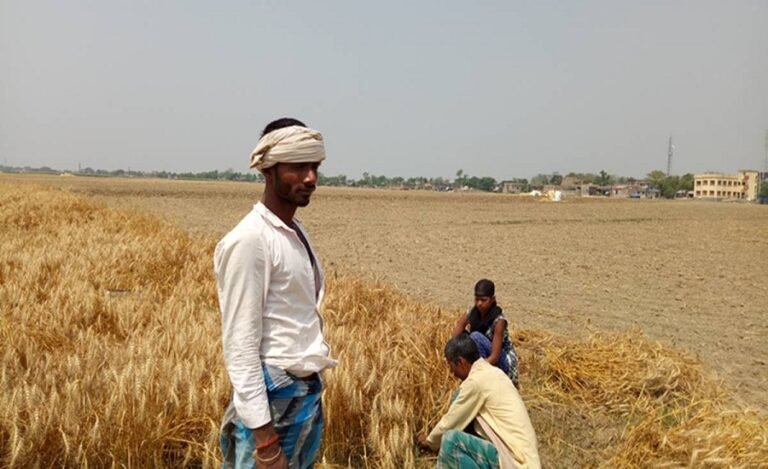 Bihar’s Champaran Sowed Seeds of First Farmers’ Movement