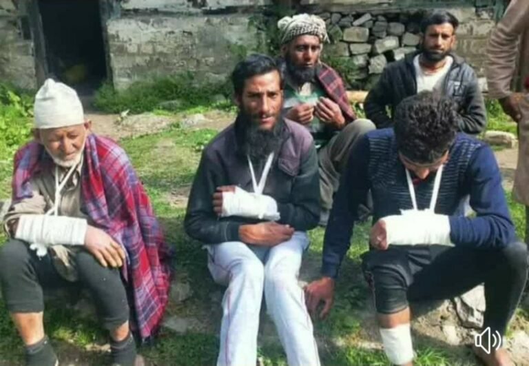 Goons Thrash Kashmiri Labourers in Himachal Pradesh Village