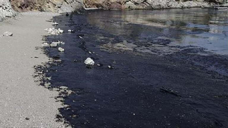 Indian Coast Guard on Alert After Oil Spill Off Chennai