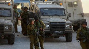 12 Palestinians arrested by Israeli forces during overnight raids in occupied West Bank. 