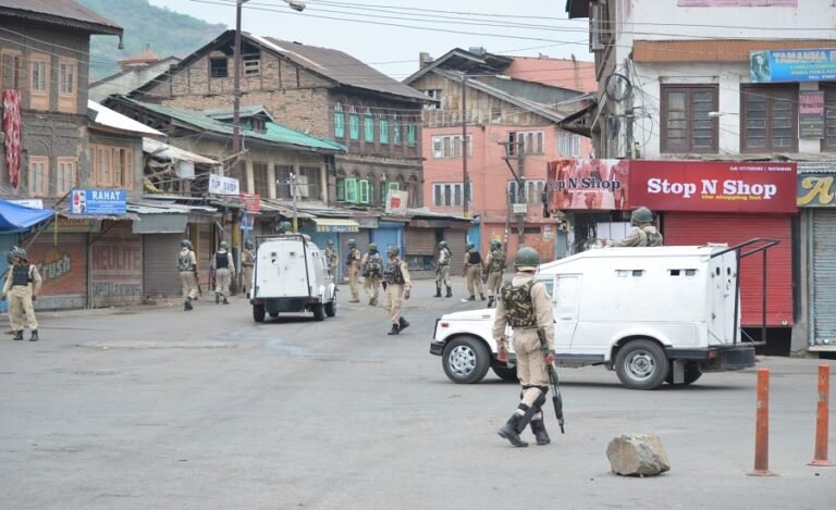 Kashmir Situation Worrying, Restrictions must be Lifted: Sweden