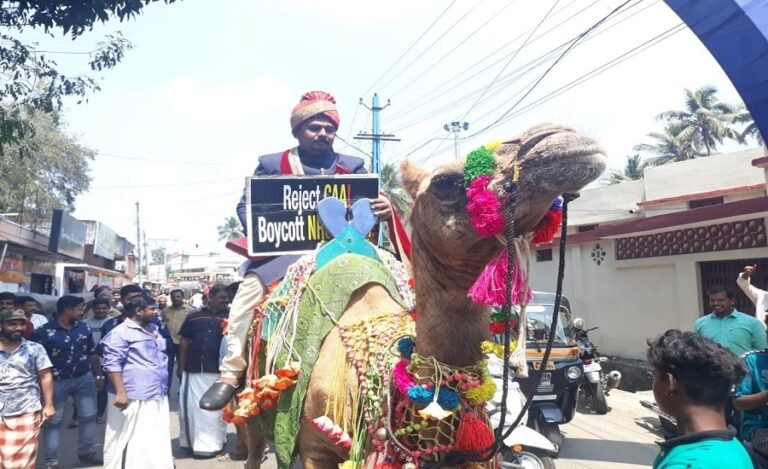 Anti-CAA Protest: Kerala Groom Arrives on Camel, Gifts Constitution