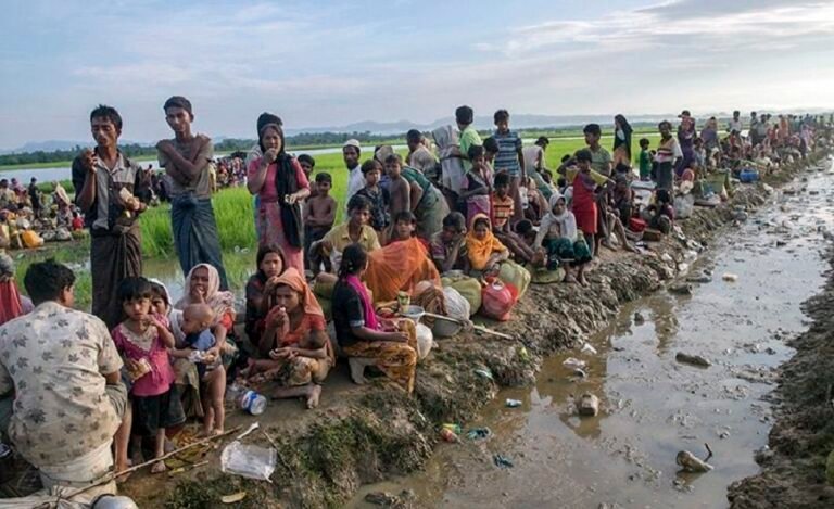 Rohingya Genocide Still Taking Place in Myanmar: UN Investigator