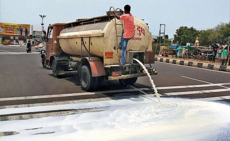 Thousands of Litres of Milk Spilt on Roads by Protesting Farmers in Maharashtra
