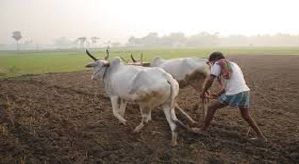 ‘Will Destroy Agri-Sector’: Farm Leaders Assail Nirmala’s Budget