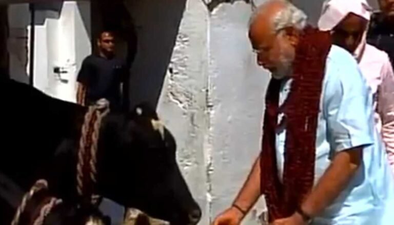 HINDUTVA’S COW OBSESSION IS HURTING INDIA