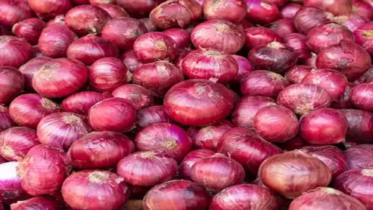 Karnataka Farmer Gets Rs 8.36 for Selling 205kg Onions, Receipt Goes