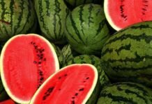 Four of a Muslim Family Die After ‘Consuming Watermelon’ in Mumbai