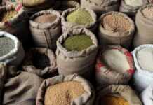 West Bengal to Deny Ration Benefits to Those Removed from Electoral Rolls